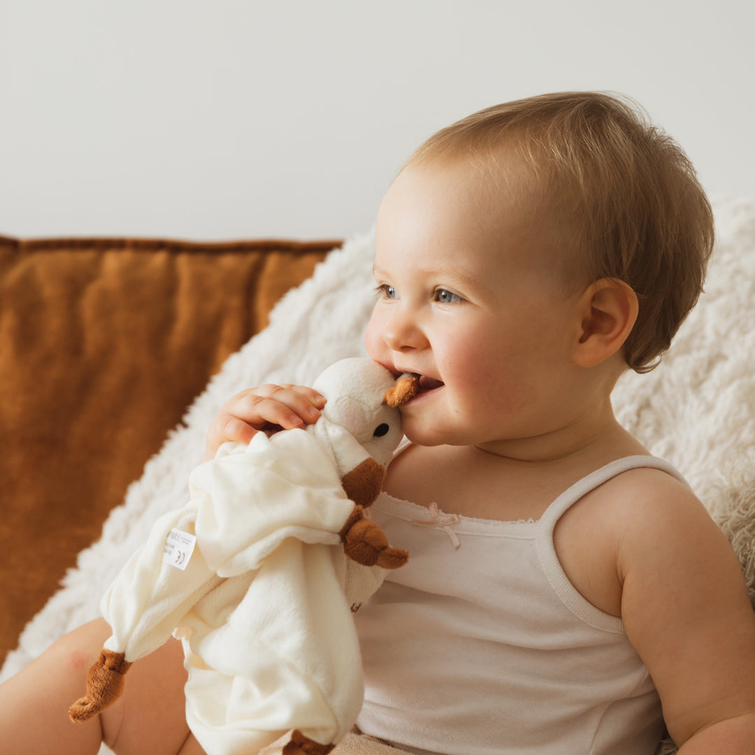 Sophiesticated Sophie and Dou Dou set