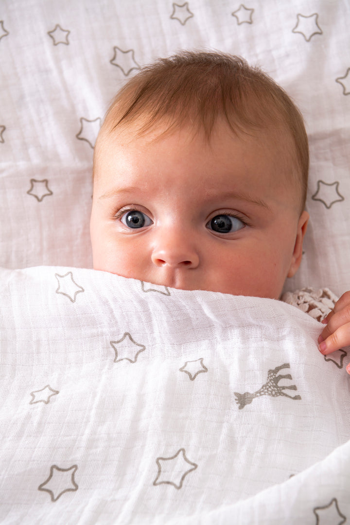 Sophiesticated Sophie and Swaddle Blanket set