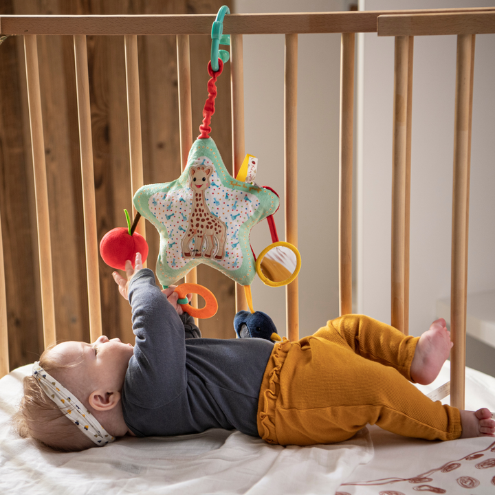 STAR ACTIVITIES PLUSH