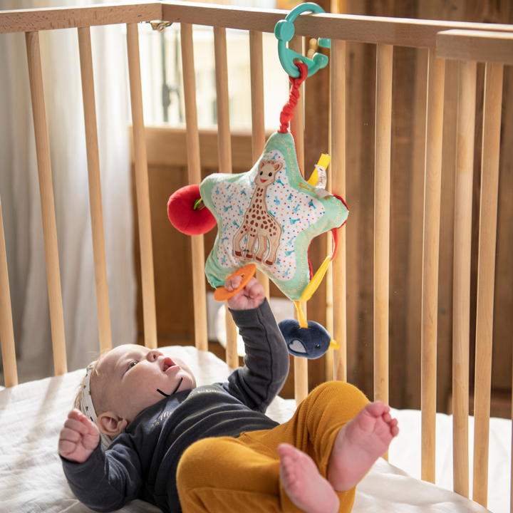 STAR ACTIVITIES PLUSH