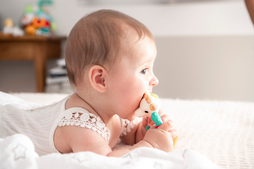 Multi-textured rattle