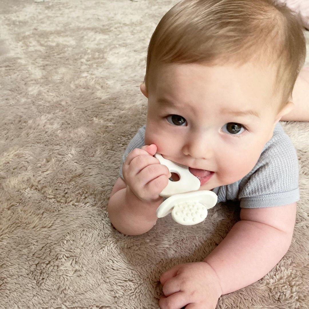 Sophie la girafe & Chewing Rubber So'pure