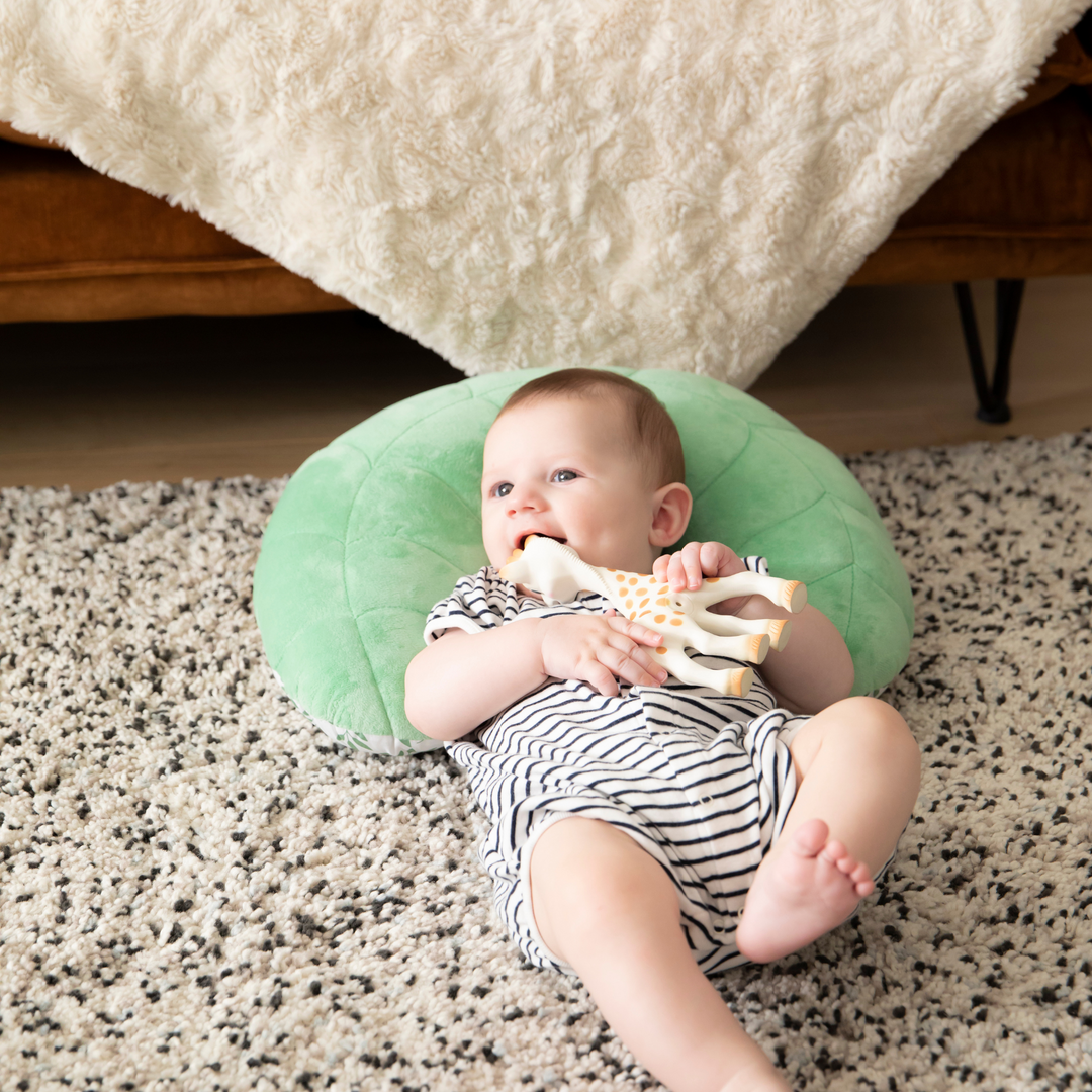 2 IN 1 Activity Cushion Cosy Play