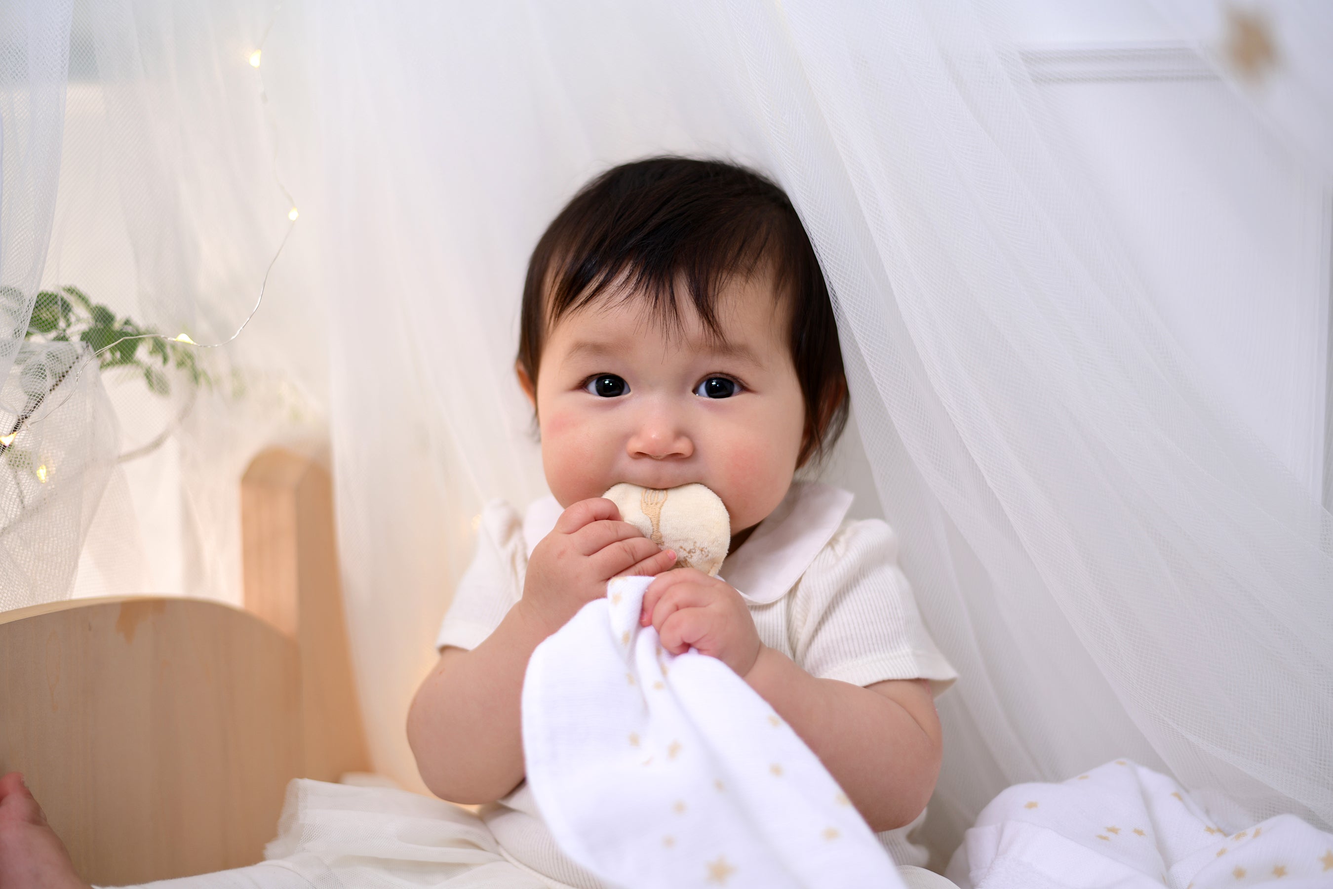 ガーゼマルチケットと2WAYハンカチスタイ ギフトセット